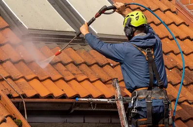 Démoussage et hydrofuge de toiture à Condeissiat